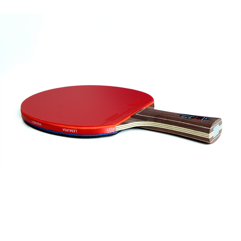 Lemuria EBENHOLZ-卓球ラケット、ピンプルズイ - Table Tennis Forehand のレビューと価格