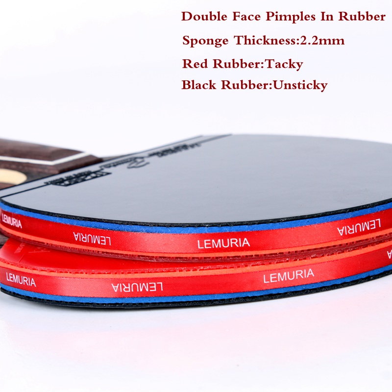 Lemuria EBENHOLZ-卓球ラケット、ピンプルズイ - Table Tennis Forehand のレビューと価格