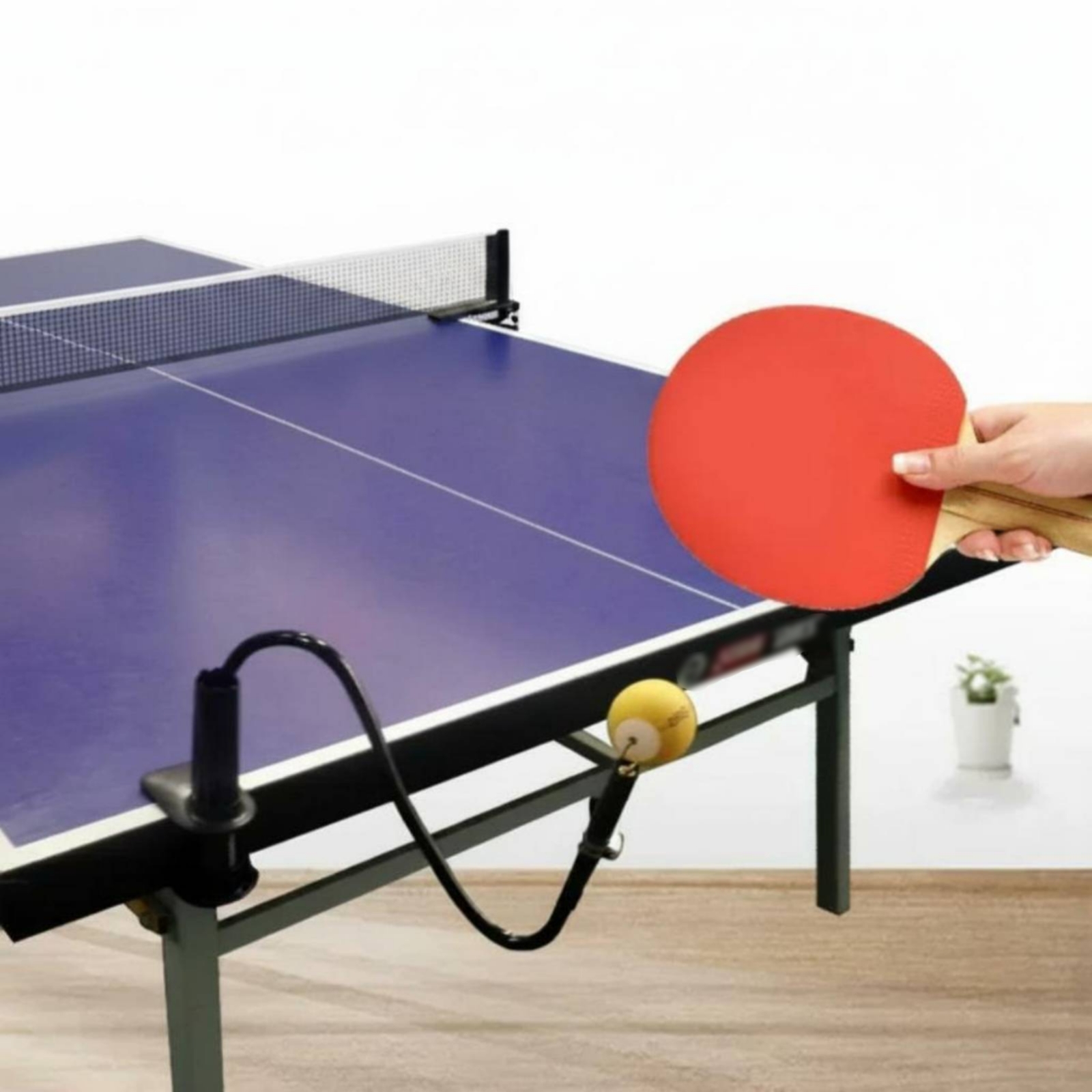 卓球ソロ練習補助具 柔軟なチューブ構造 卓球リバウンド練習補 - Table Tennis Youtube のレビューと価格